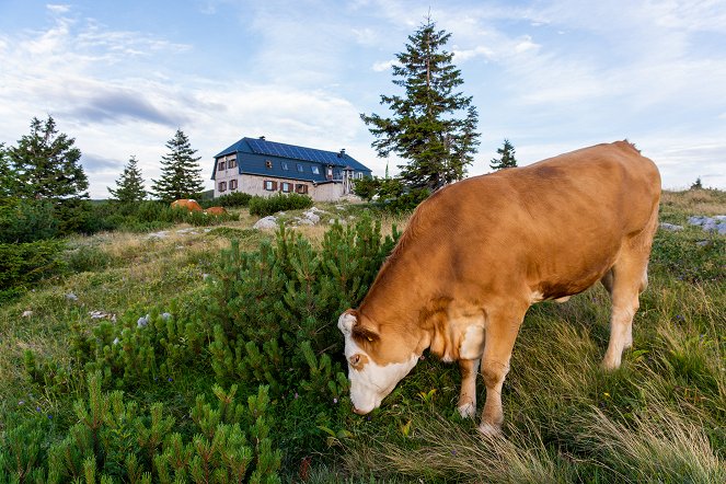 Heimatleuchten - Österreichs Bergsteigerdörfer - Photos