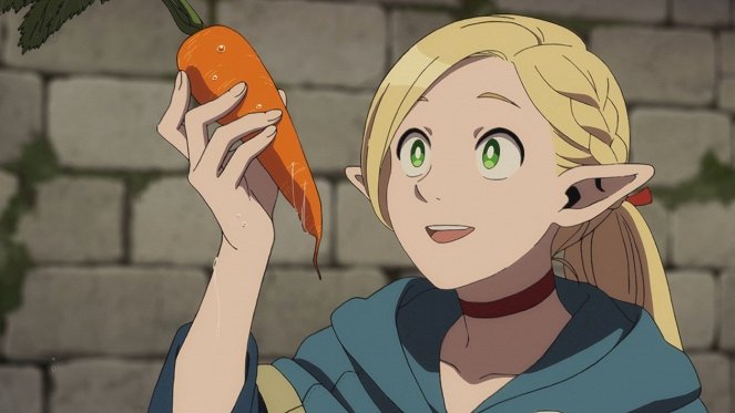 Delicious in Dungeon - Stewed Cabbage / Orcs - Photos