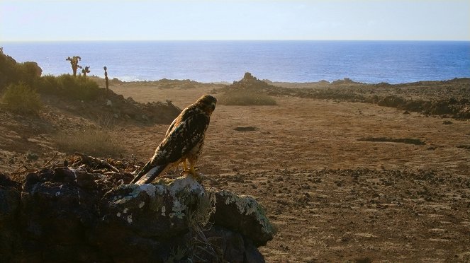 Eden: Untamed Planet - Galapagos: Enchanted Isles - Do filme