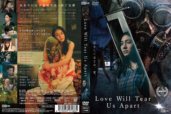Love Will Tear Us Apart - Covers - Sayu Kubota