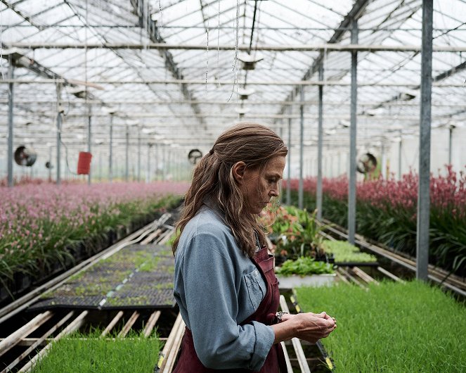 The Lost Flowers of Alice Hart - Photos