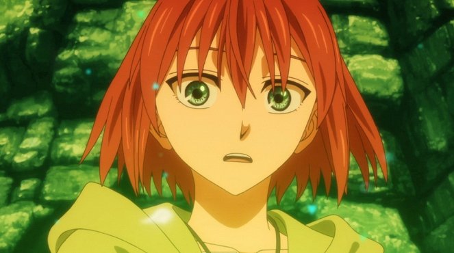 The Ancient Magus Bride - Better to Ask the Way Than Go Astray. - Film