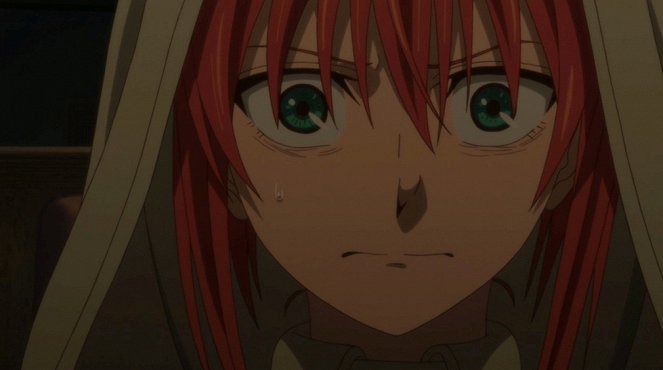 The Ancient Magus Bride - Any Port in a Storm. - Film