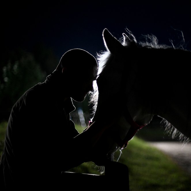 Calm with Horses - Van film