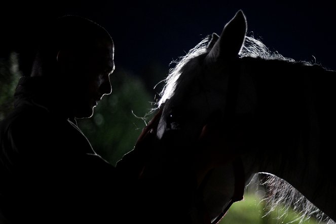 Calm with Horses - Kuvat elokuvasta