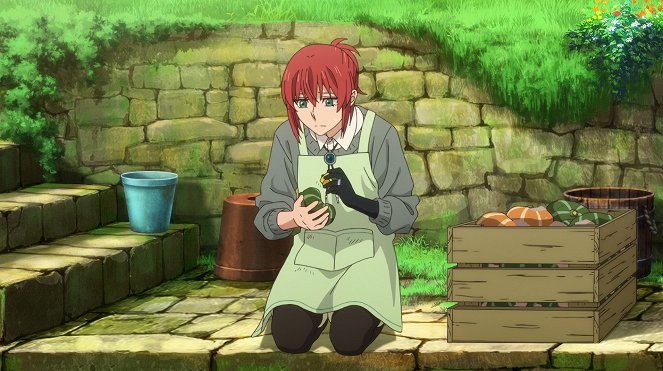 The Ancient Magus' Bride - Birds of a Feather Flock Together. II - Photos