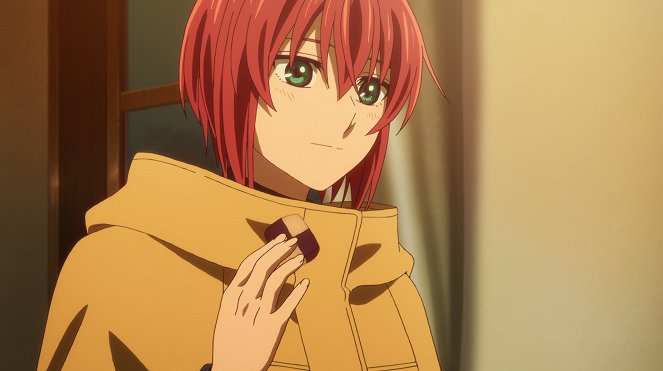 The Ancient Magus' Bride - A Small Leak Will Sink a Great Ship. I - Photos