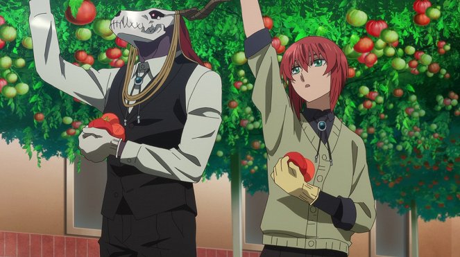 The Ancient Magus' Bride - Gather Ye Rosebuds While Ye May. - Photos