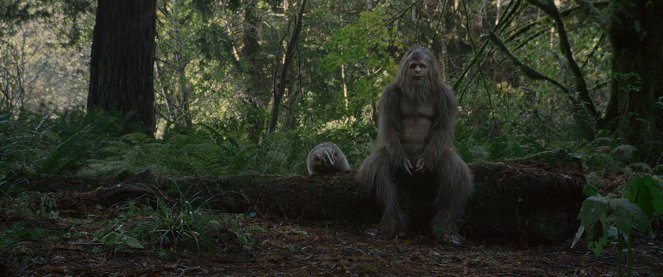 Sasquatch Sunset - De la película