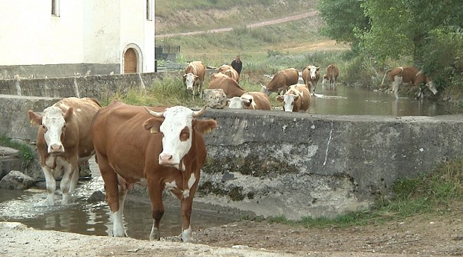 Na cestě - Na cestě po Zlatiboru - Do filme