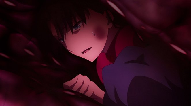 Fate/stay Night : Unlimited Blade Works - Mugen no Kensei - Film