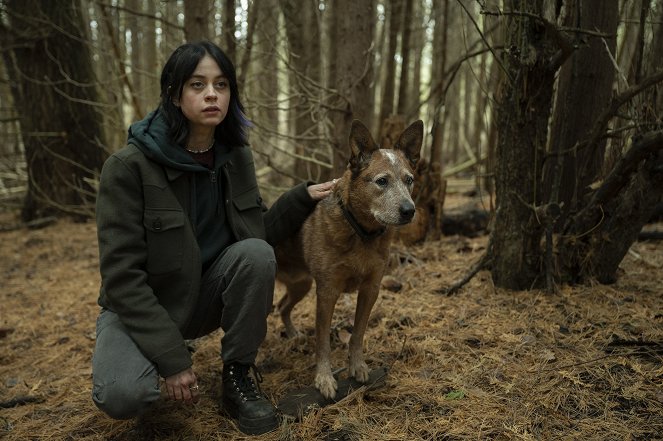 Orphan Black: Echoes - The Dog's Honest Truth - Photos