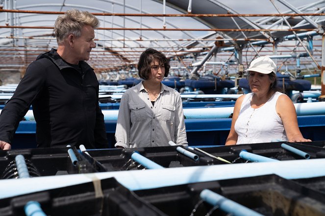 Gordon Ramsay : Territoires inexplorés - Season 4 - The Cliffs of Ireland - Film