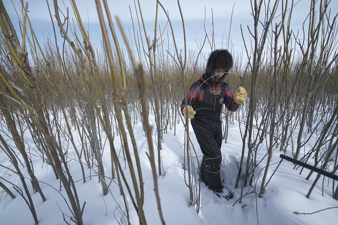 Life Below Zero - Paving Paths - Photos