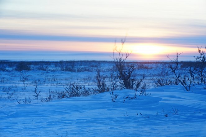 Life Below Zero - The Rising Tides - Do filme