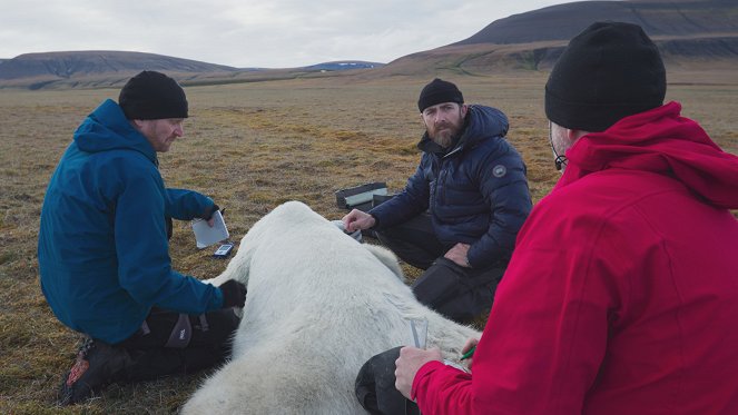 OceanXplorers - Kingdom of the Polar Bear - Kuvat elokuvasta