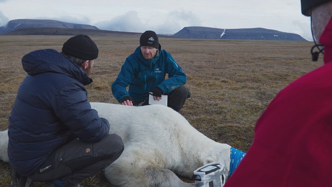 OceanXplorers - Kingdom of the Polar Bear - Photos