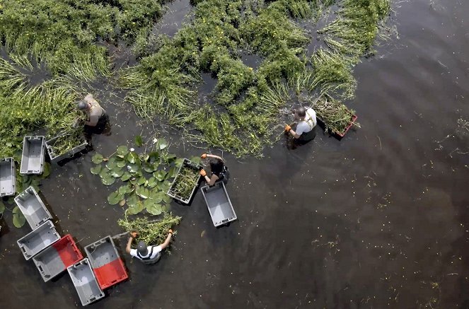 Europe, une Nature créée par l’homme - Do filme