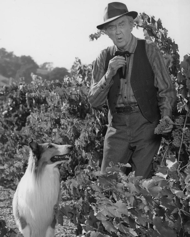 The Magic of Lassie - Z filmu - Lassie, James Stewart