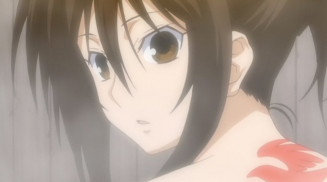 Sekirei - The Strange Tale of Maison Izumo - Photos