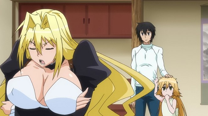 Sekirei - Honó no sekirei - Do filme