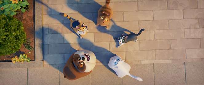 movie