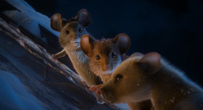 movie