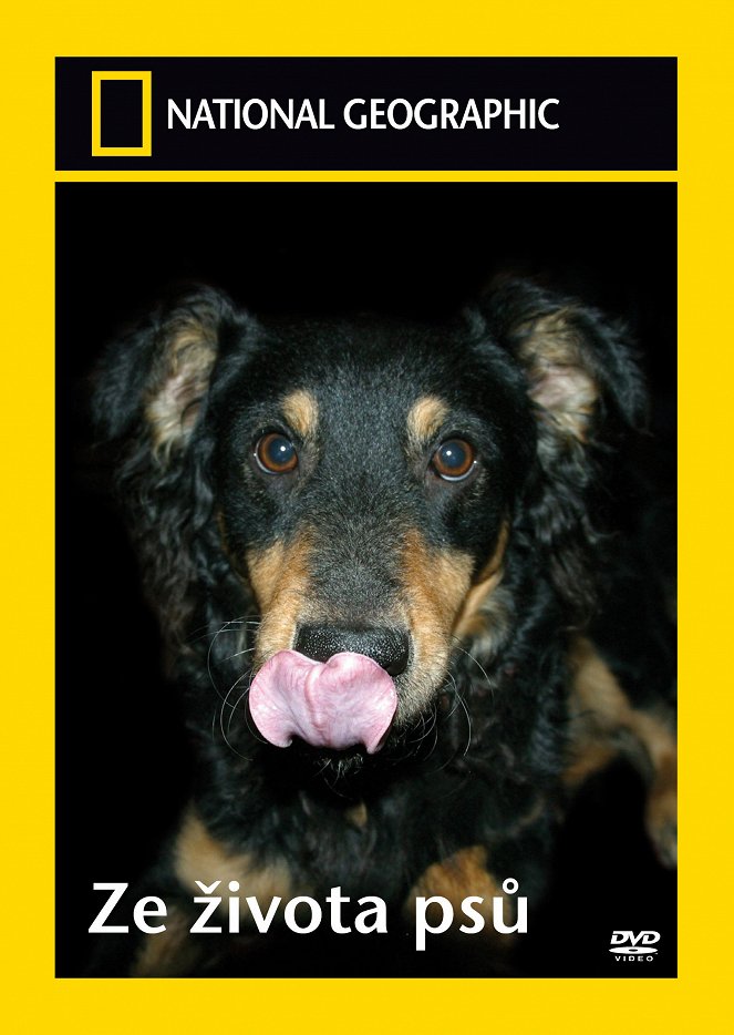 Ze života psů - Plakáty