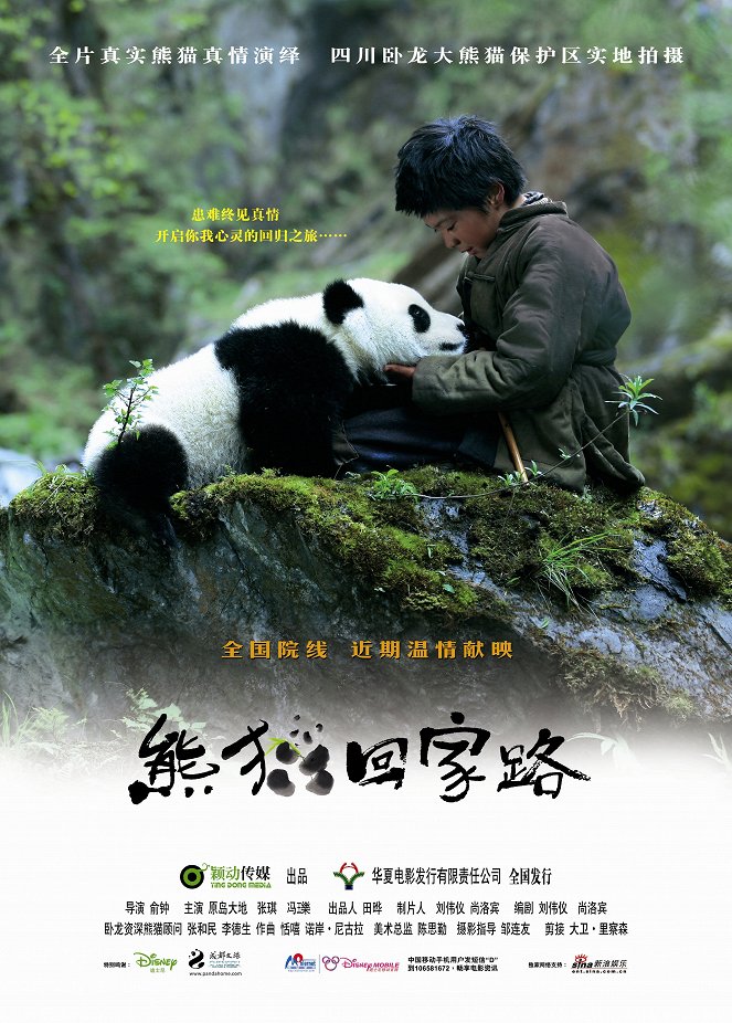 Dobrodružstvo s pandou - Plagáty