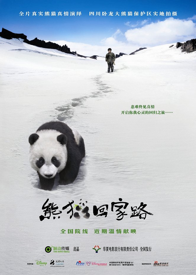 Dobrodružstvo s pandou - Plagáty