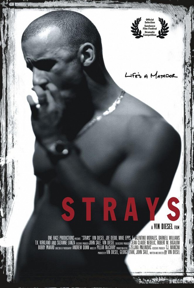 Strays - Affiches
