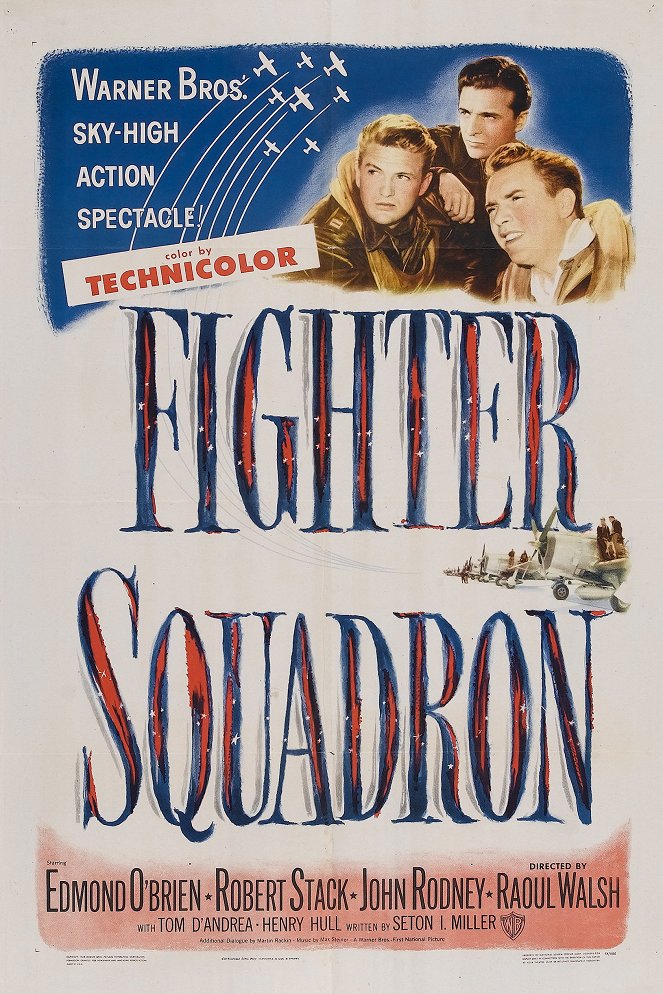 Fighter Squadron - Affiches