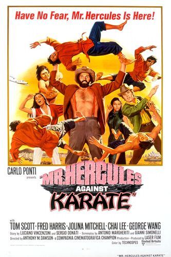 Mr. Hercules Against Karate - Posters