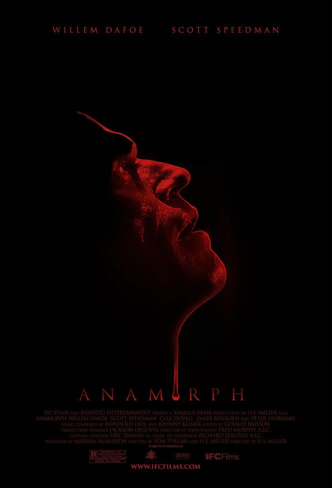 Anamorph - Affiches