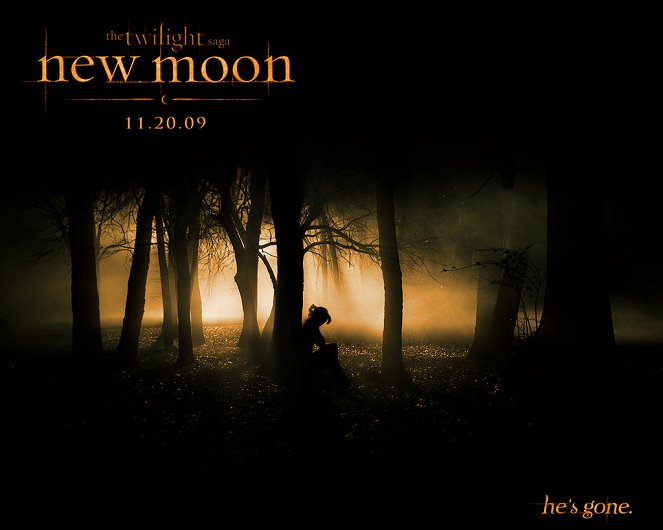 New Moon - Biss zur Mittagsstunde - Plakate