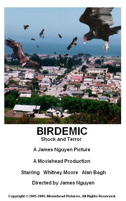 Birdemic: Shock and Terror - Julisteet