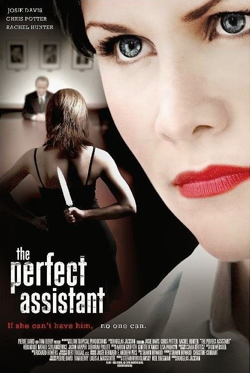 The Perfect Assistant - Posters