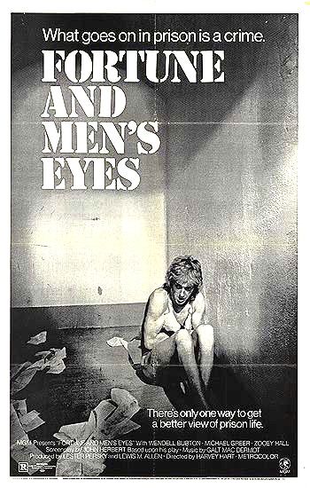 Fortune and Men's Eyes - Plakáty