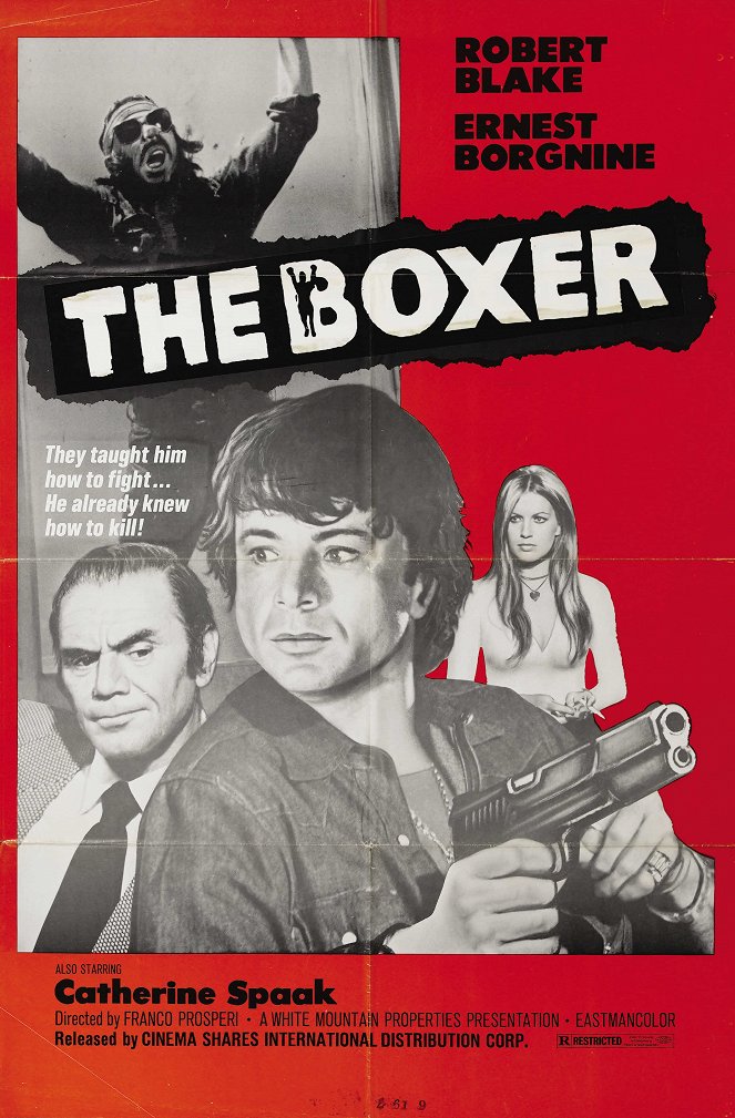 The Boxer - Posters