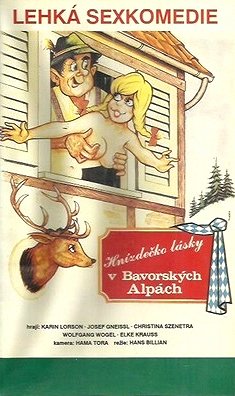 Hnízdečko lásky v bavorských Alpách - Plakáty
