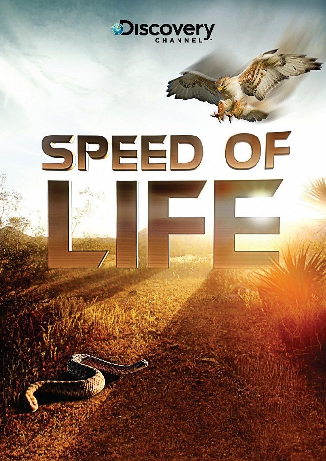 Speed of Life - Julisteet