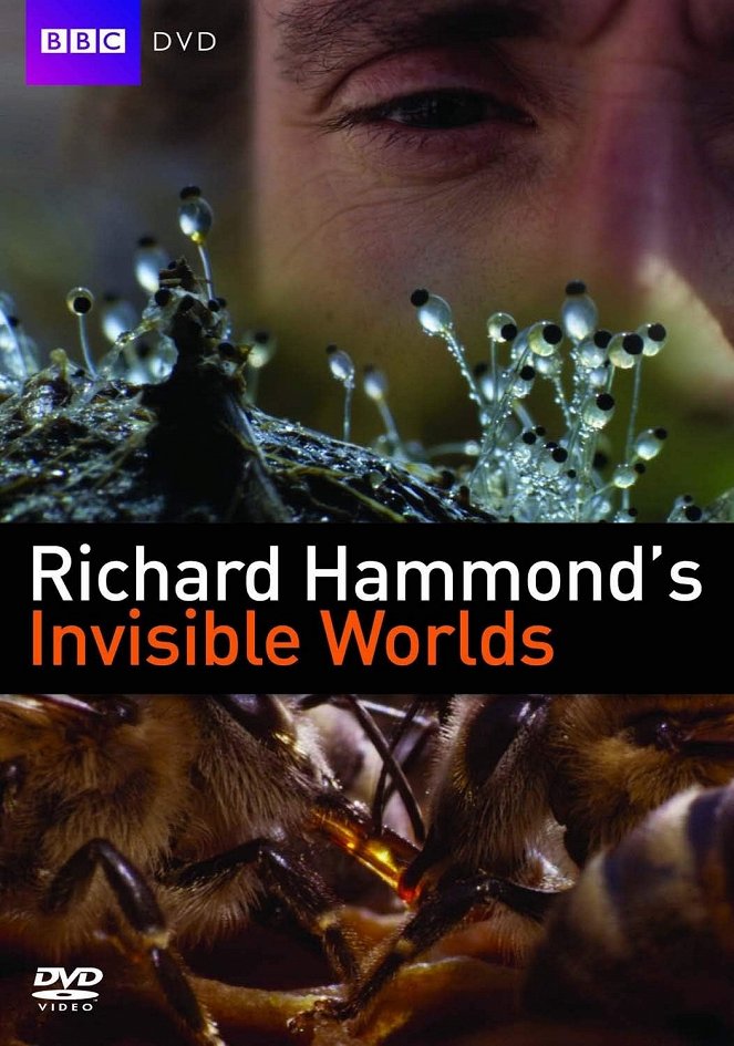 Richard Hammond's Invisible Worlds - Posters