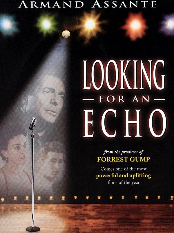 Looking for an Echo - Affiches
