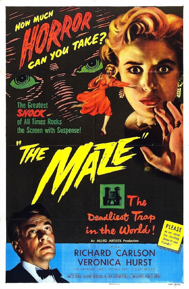 The Maze - Affiches