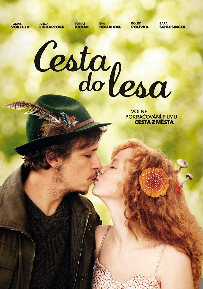 Cesta do lesa - Posters