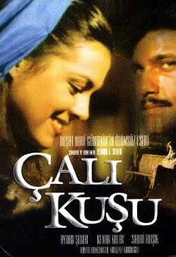 Çalıkuşu - Affiches