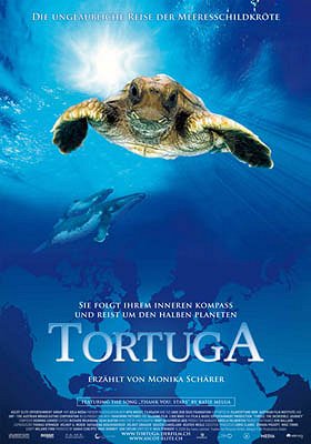 Tortuga - Die unglaubliche Reise der Meeresschildkröte - Plakate