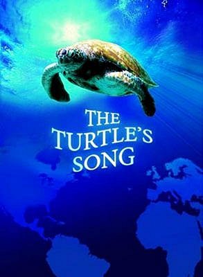 Turtle: The Incredible Journey - Plakaty