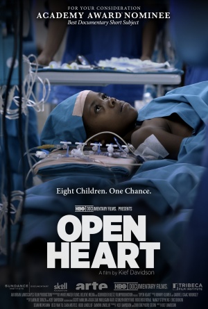 Open Heart - Plakáty