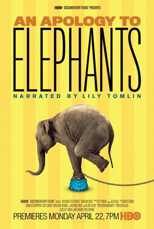 Ein Plädoyer für Elefanten - Plakate